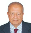 Mostafa Kamel